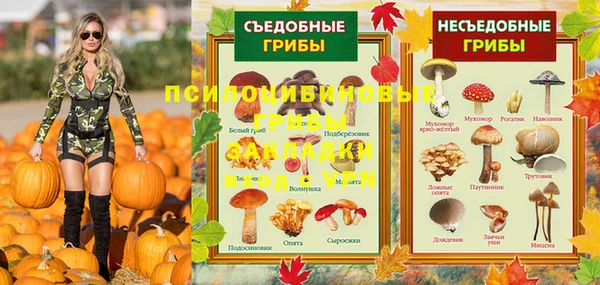 ешки Алексеевка