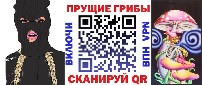 магазин    hydra ТОР  Псилоцибиновые грибы Magic Shrooms  Брянск 