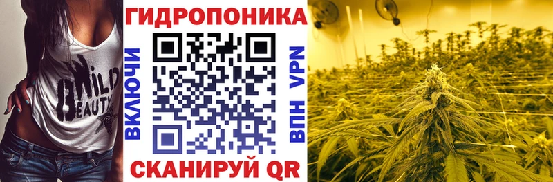 Конопля индика  как найти закладки  Брянск 